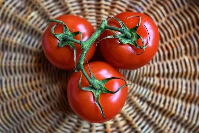 tomate-blog-nutrition-vdhcoaching